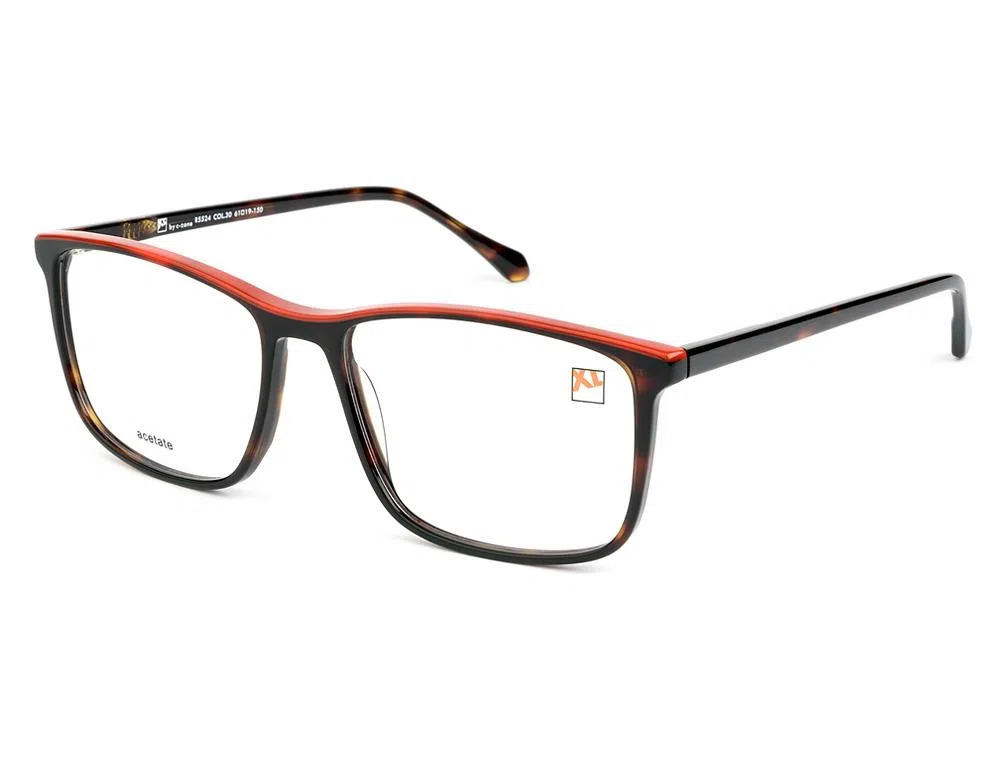 CZone R5524 Eyeglasses - view 2