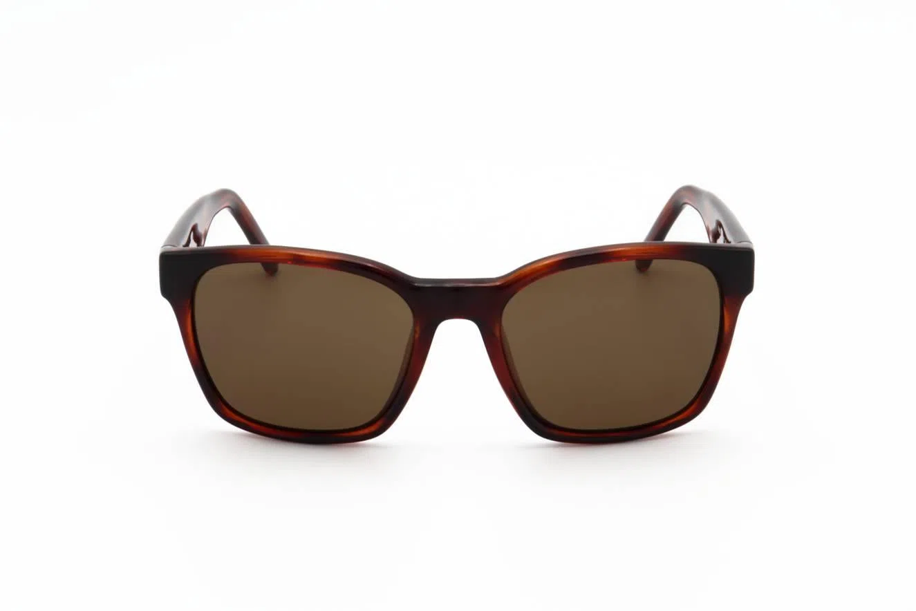 Salvatore Ferragamo SF959S Sunglasses