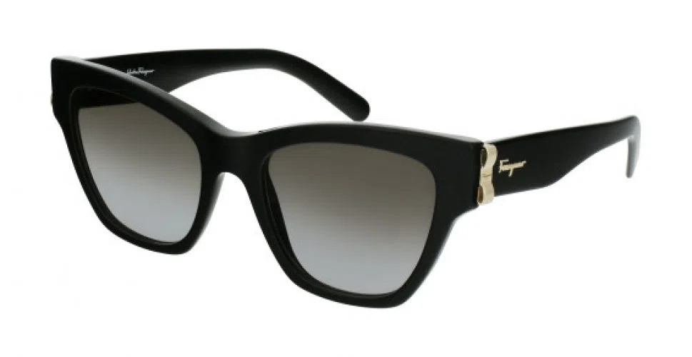 Salvatore Ferragamo SF1010S Sunglasses