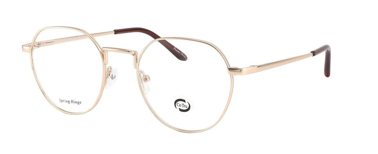 CE-TRU 3352 Eyeglasses - view 3