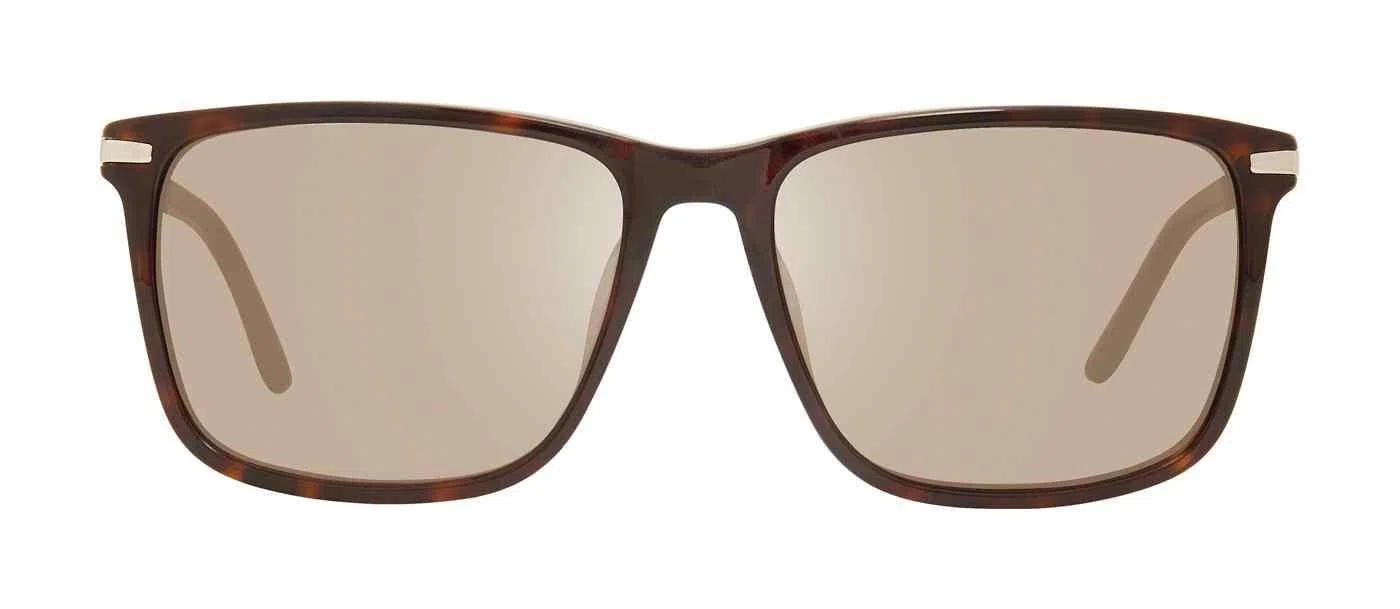 Chesterfield 10 Sunglasses - view 10