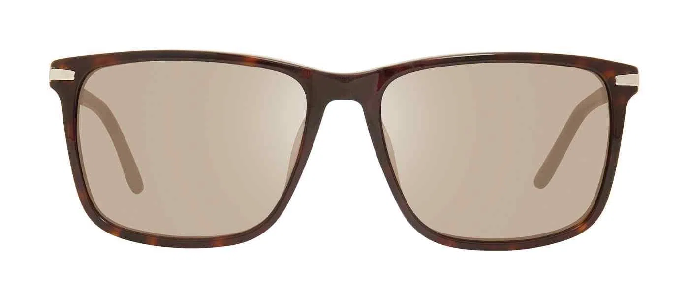 Chesterfield 10 Sunglasses - view 17