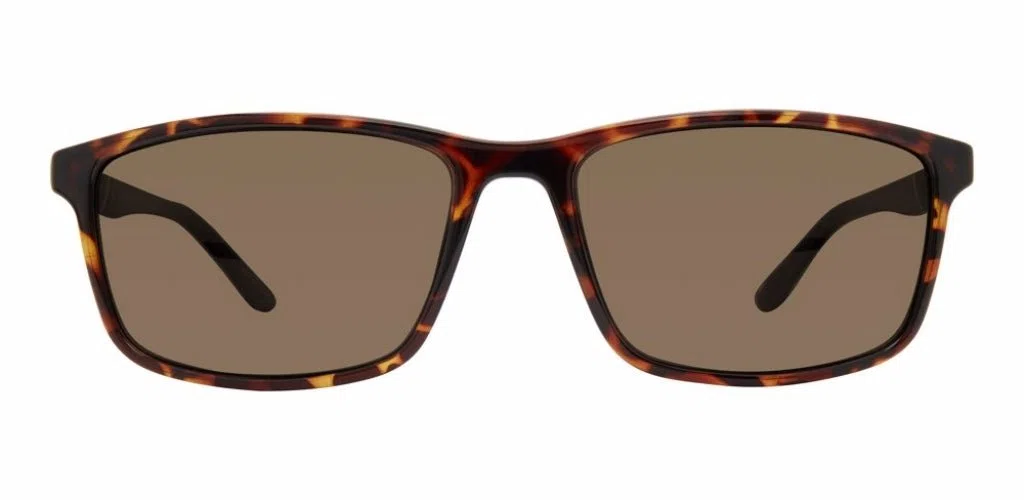 Chesterfield 11 Sunglasses - view 2