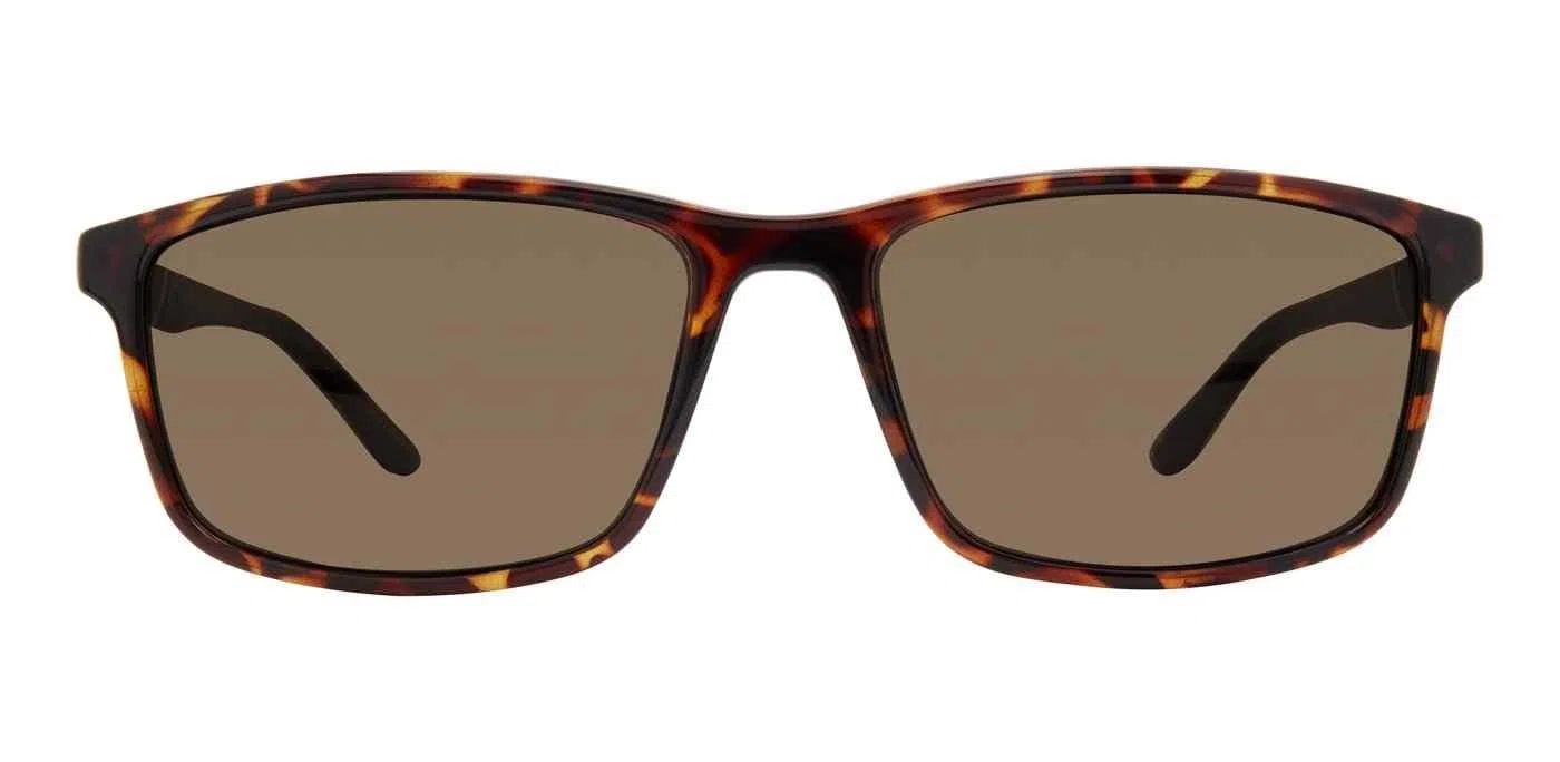 Chesterfield 11 Sunglasses - view 6