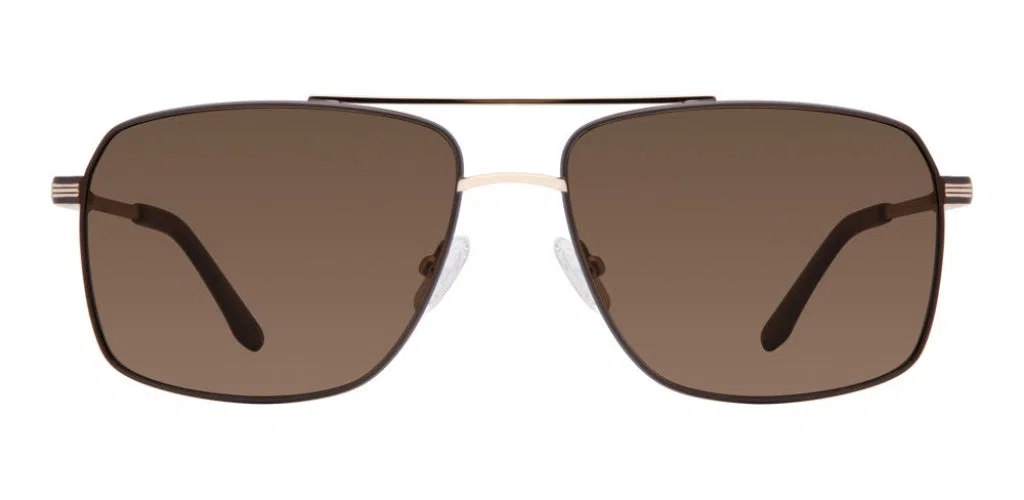Chesterfield CH27 Sunglasses - view 2