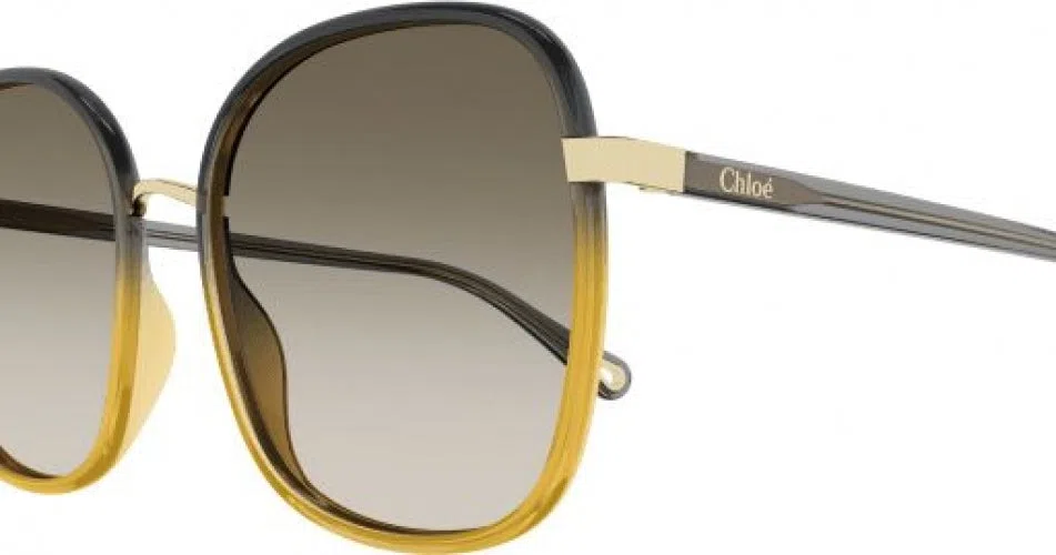 Chloe CH0031S Sunglasses - view 18