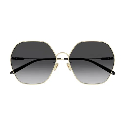 Chloe CH0169SA Sunglasses - view 8