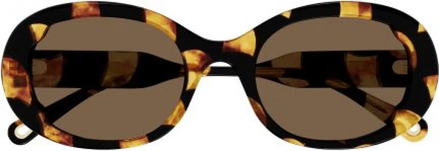 Chloe CH0197S Sunglasses - view 5