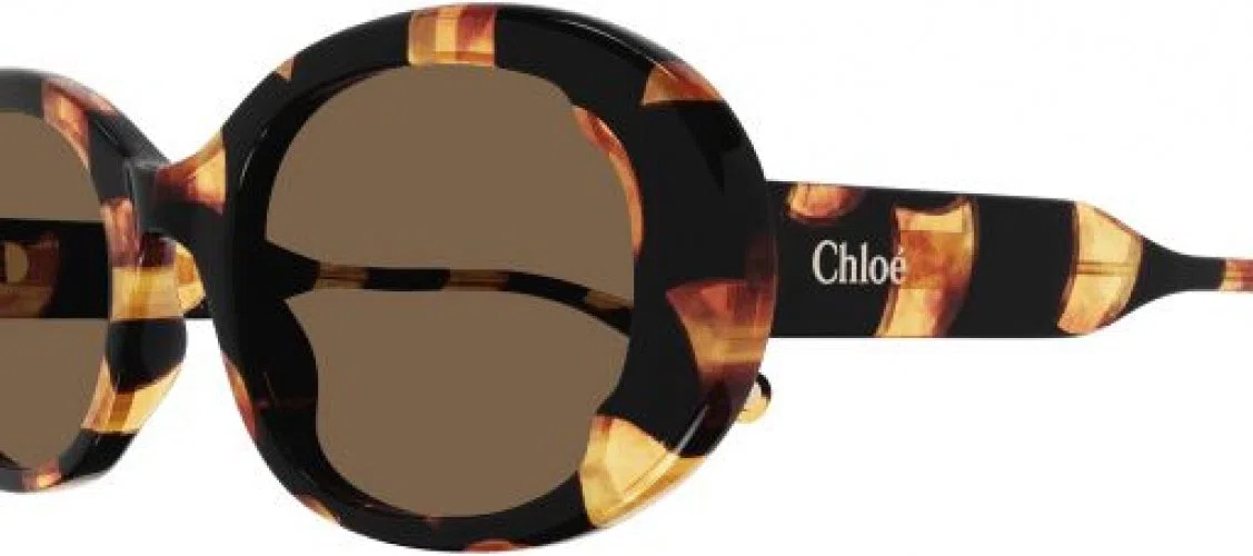 Chloe CH0197S Sunglasses - view 6