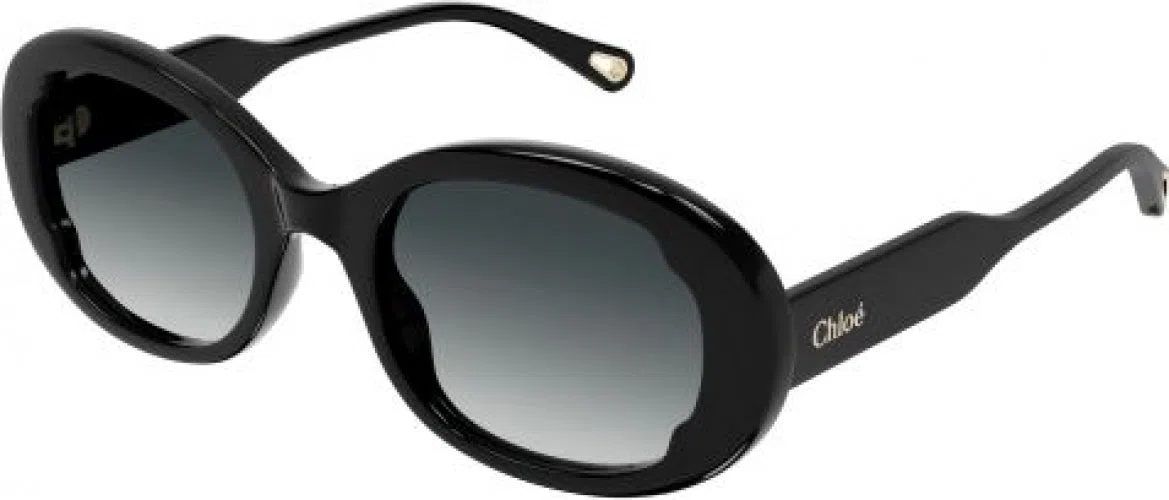 Chloe CH0197S Sunglasses - view 8