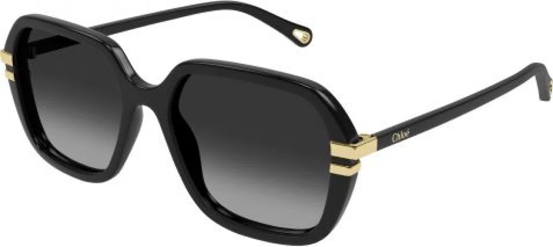 Chloe CH0204S Sunglasses