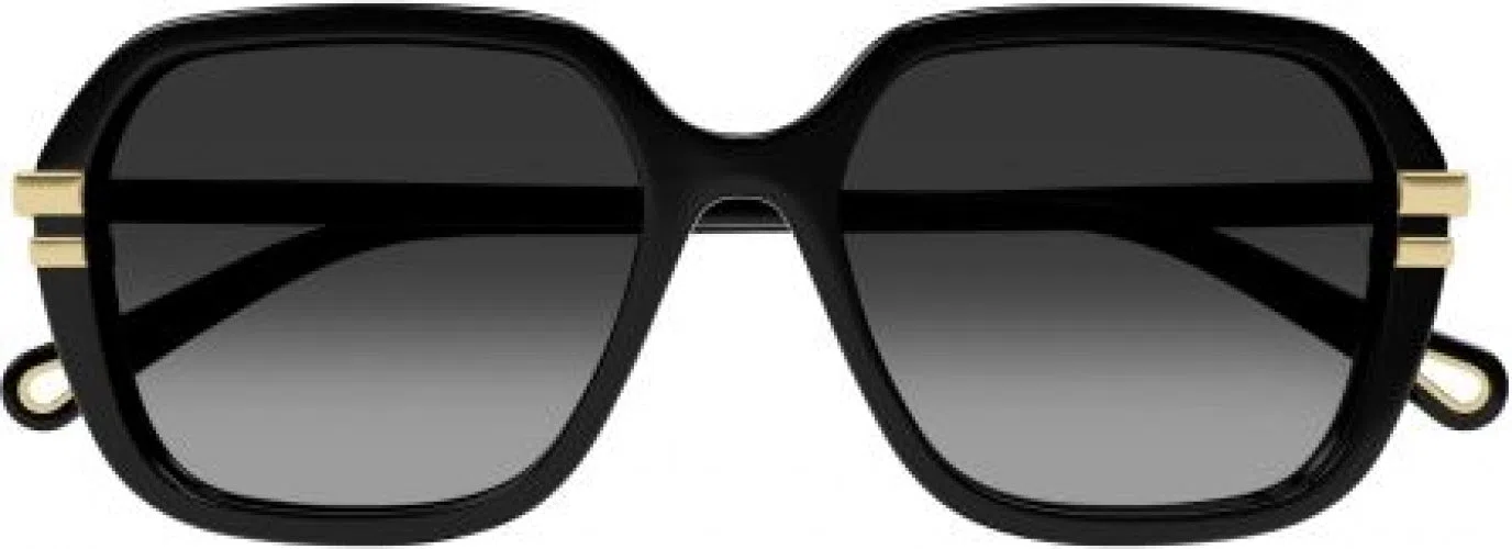 Chloe CH0204S Sunglasses - view 2
