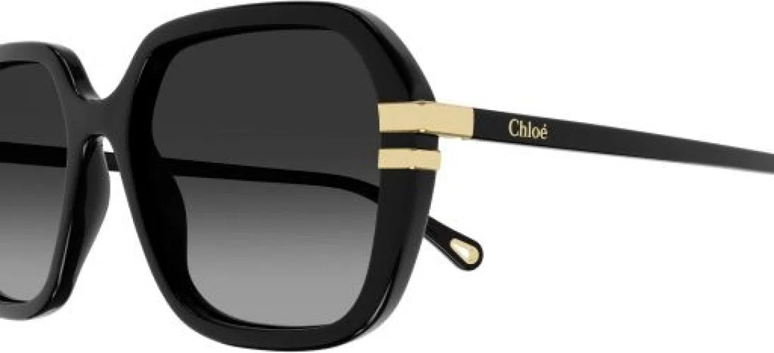 Chloe CH0204S Sunglasses - view 3