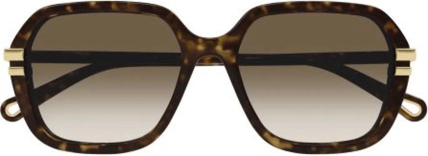 Chloe CH0204S Sunglasses - view 5