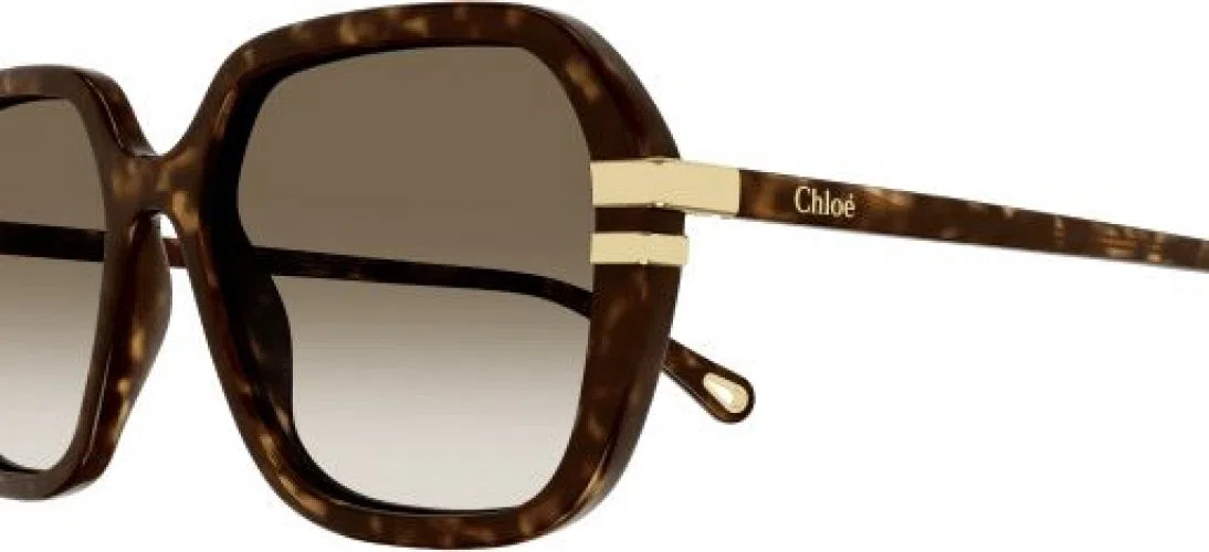 Chloe CH0204S Sunglasses - view 6