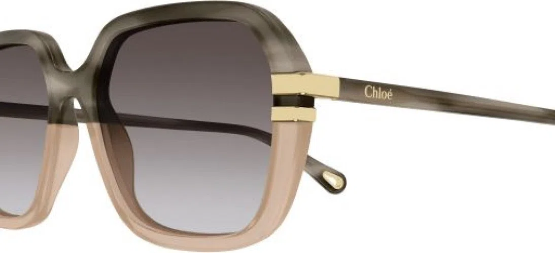 Chloe CH0204S Sunglasses - view 9
