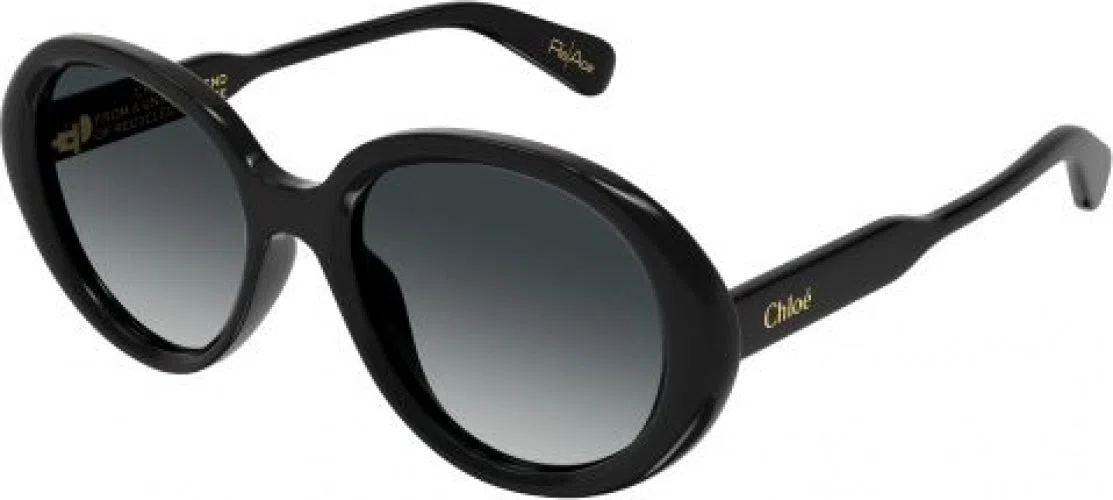 Chloe CH0221S Sunglasses