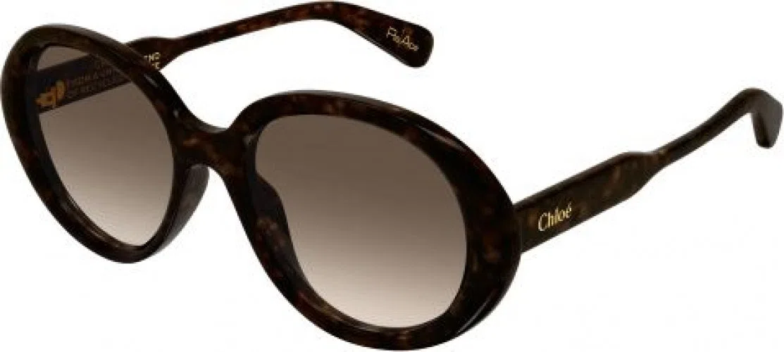 Chloe CH0221S Sunglasses - view 4