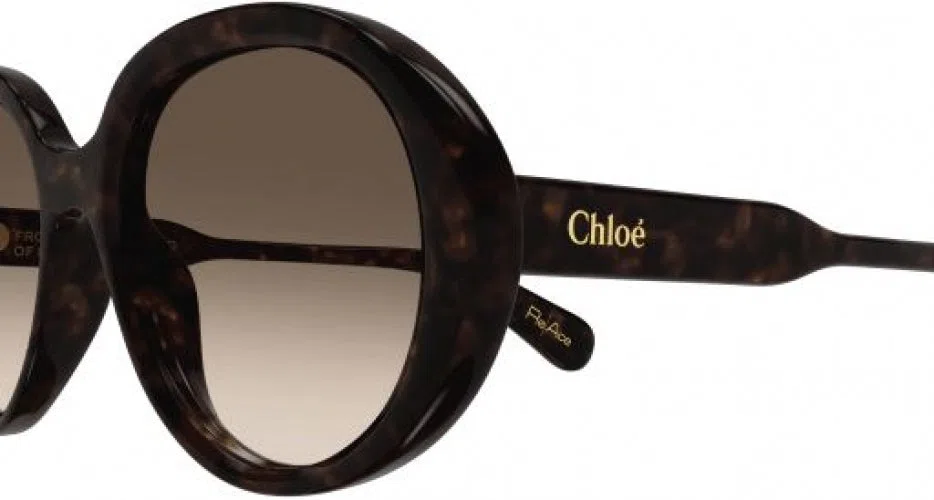 Chloe CH0221S Sunglasses - view 6