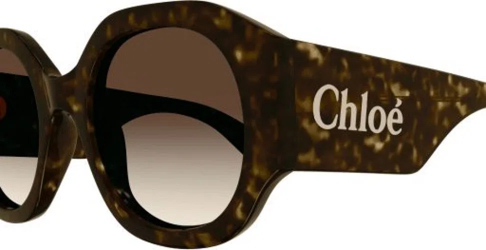 Chloe CH0234S Sunglasses - view 6