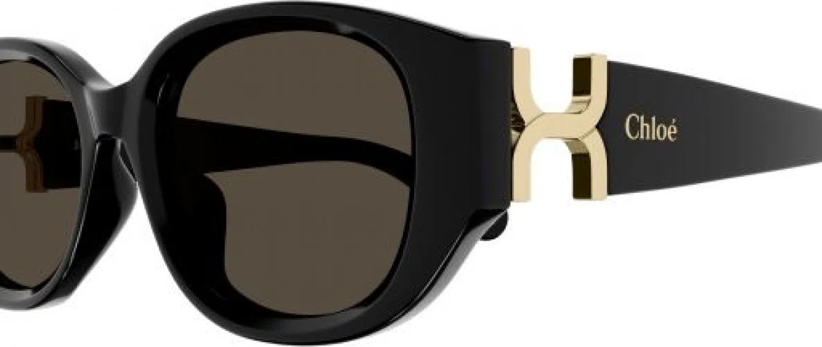 Chloe CH0237SK Sunglasses - view 3