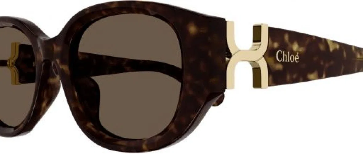 Chloe CH0237SK Sunglasses - view 6