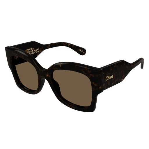 Chloe CH0252S Sunglasses - view 6