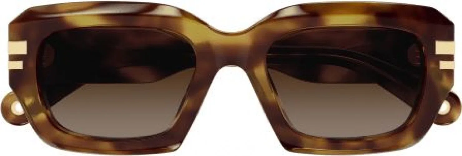 Chloe CH0256S Sunglasses - view 5