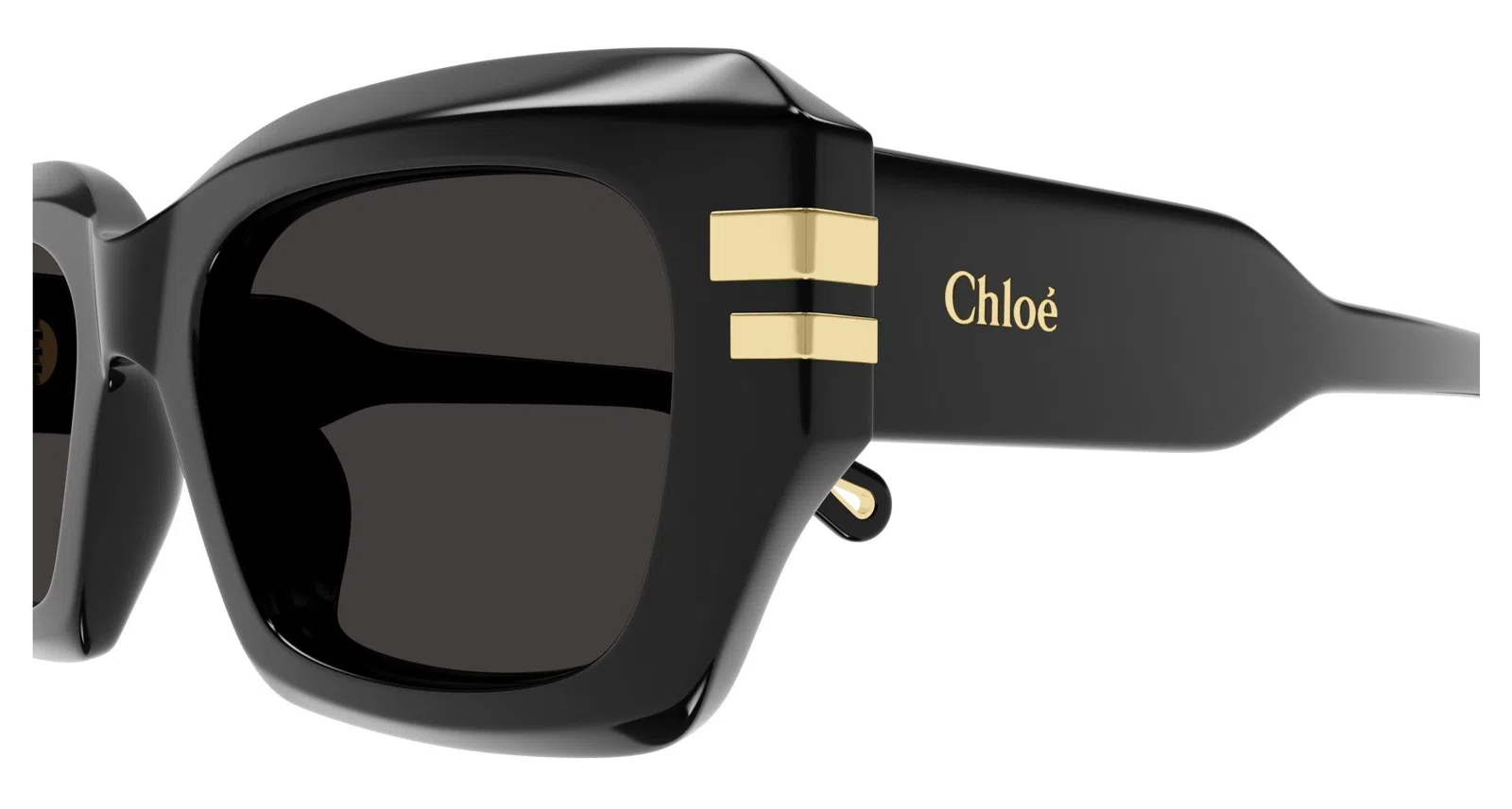 Chloe CH0256S Sunglasses - view 9