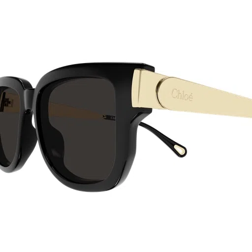 Chloe CH0351S Sunglasses - view 6