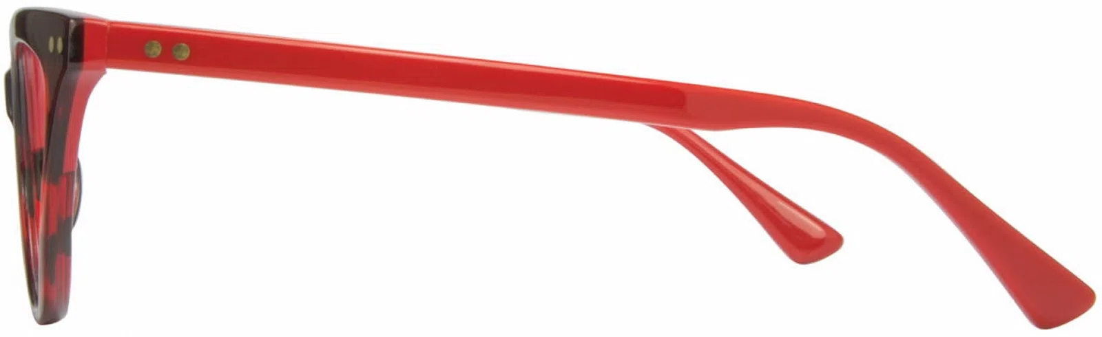 Cinzia CIN5073 Eyeglasses - view 14