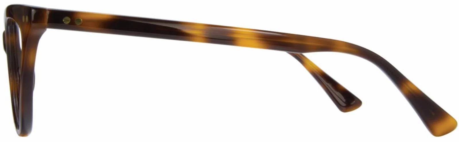 Cinzia CIN5073 Eyeglasses - view 8