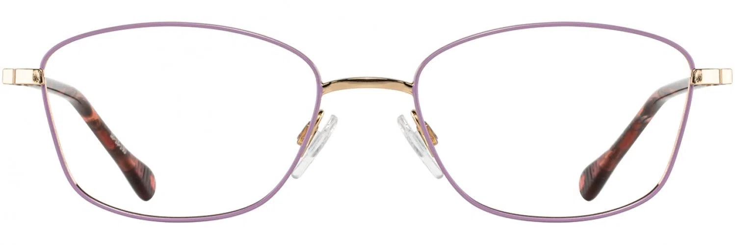 Alan J AJ522 Eyeglasses