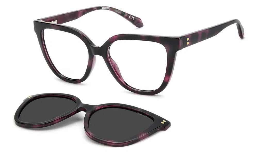 Polaroid Core PLDD596 Eyeglasses