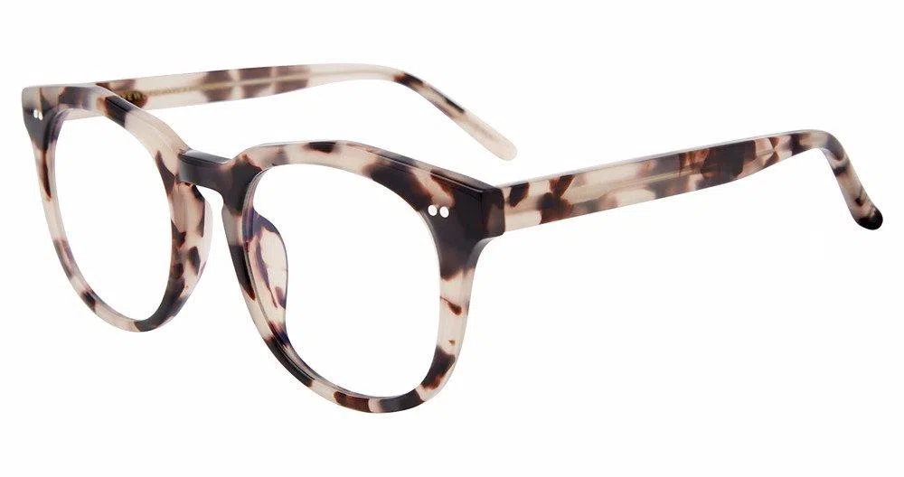 Diff Weston Eyeglasses - view 6