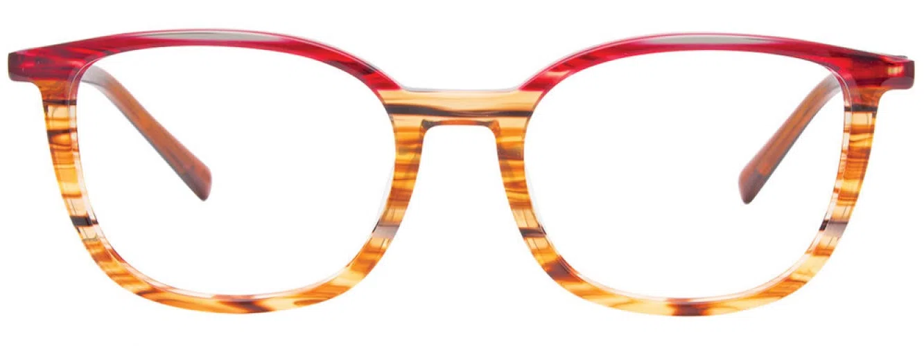 Easyclip EC503 Eyeglasses - view 4