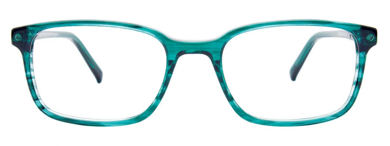 Easyclip EC569 Eyeglasses - view 10