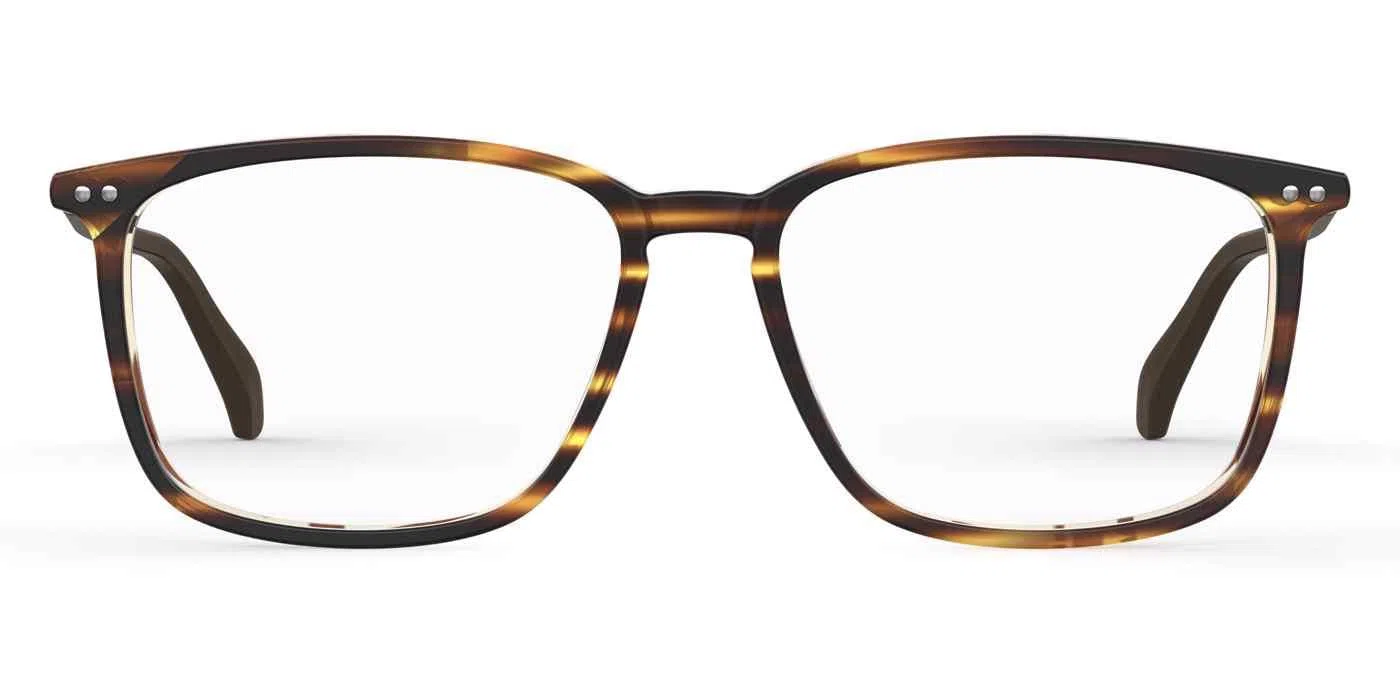 Elasta E8004 Eyeglasses - view 2