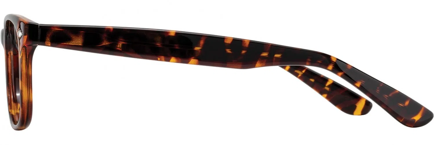 Elements EL442 Eyeglasses - view 5