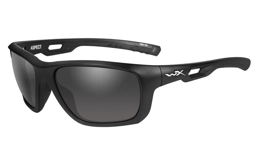 Wiley X Active Aspect Frame & Lenses