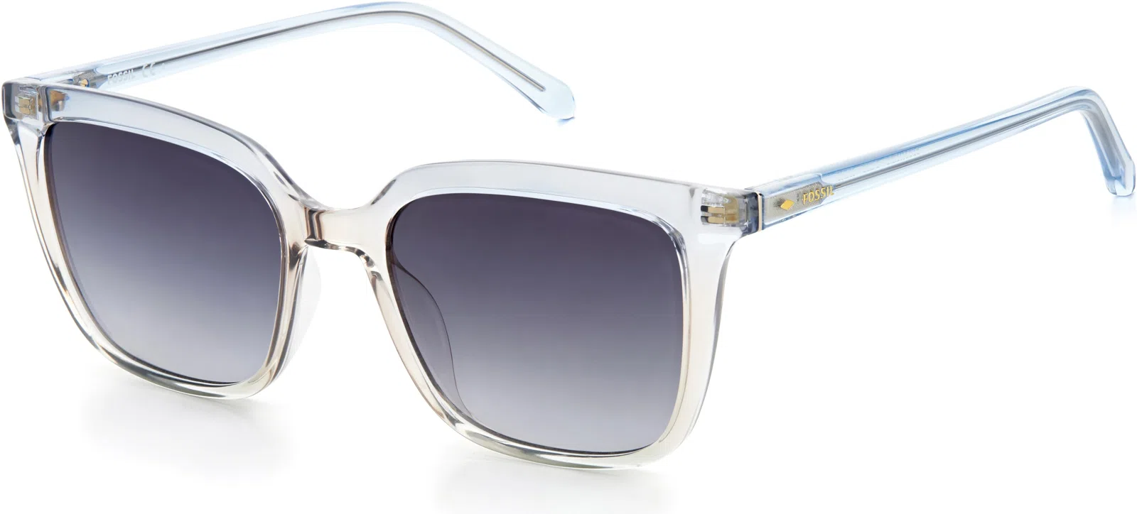 Fossil 3112 Sunglasses - view 19