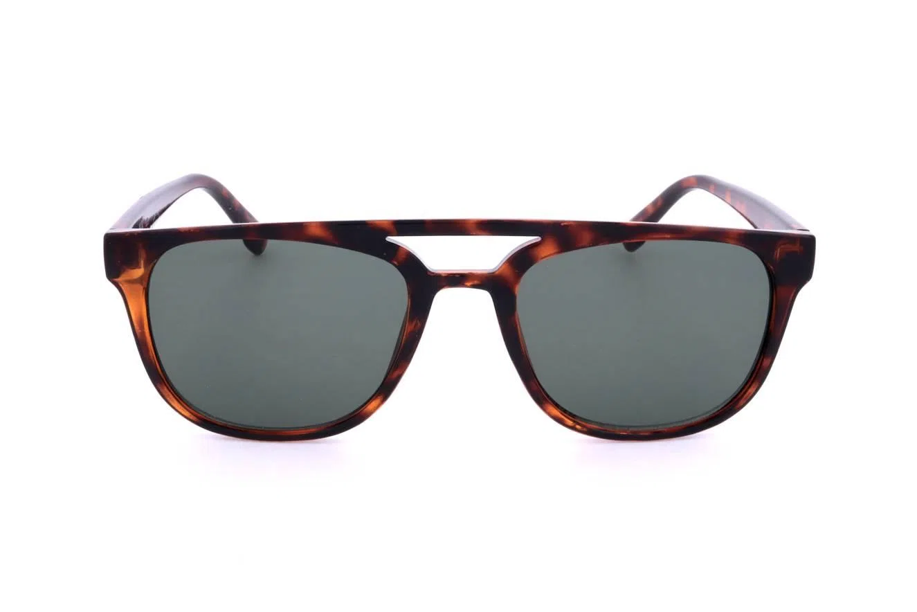GAP SGP404 Sunglasses