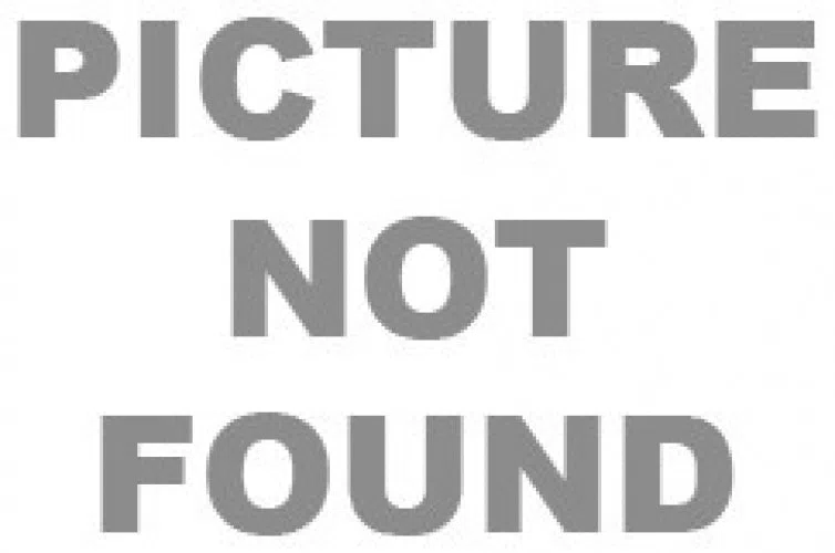 Guess 2937N Eyeglasses