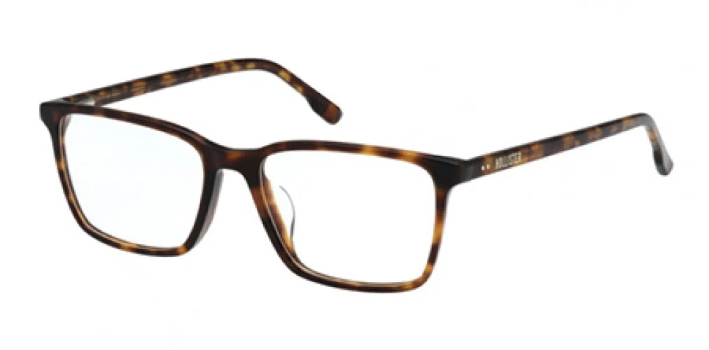 HOLLISTER 50029 Eyeglasses