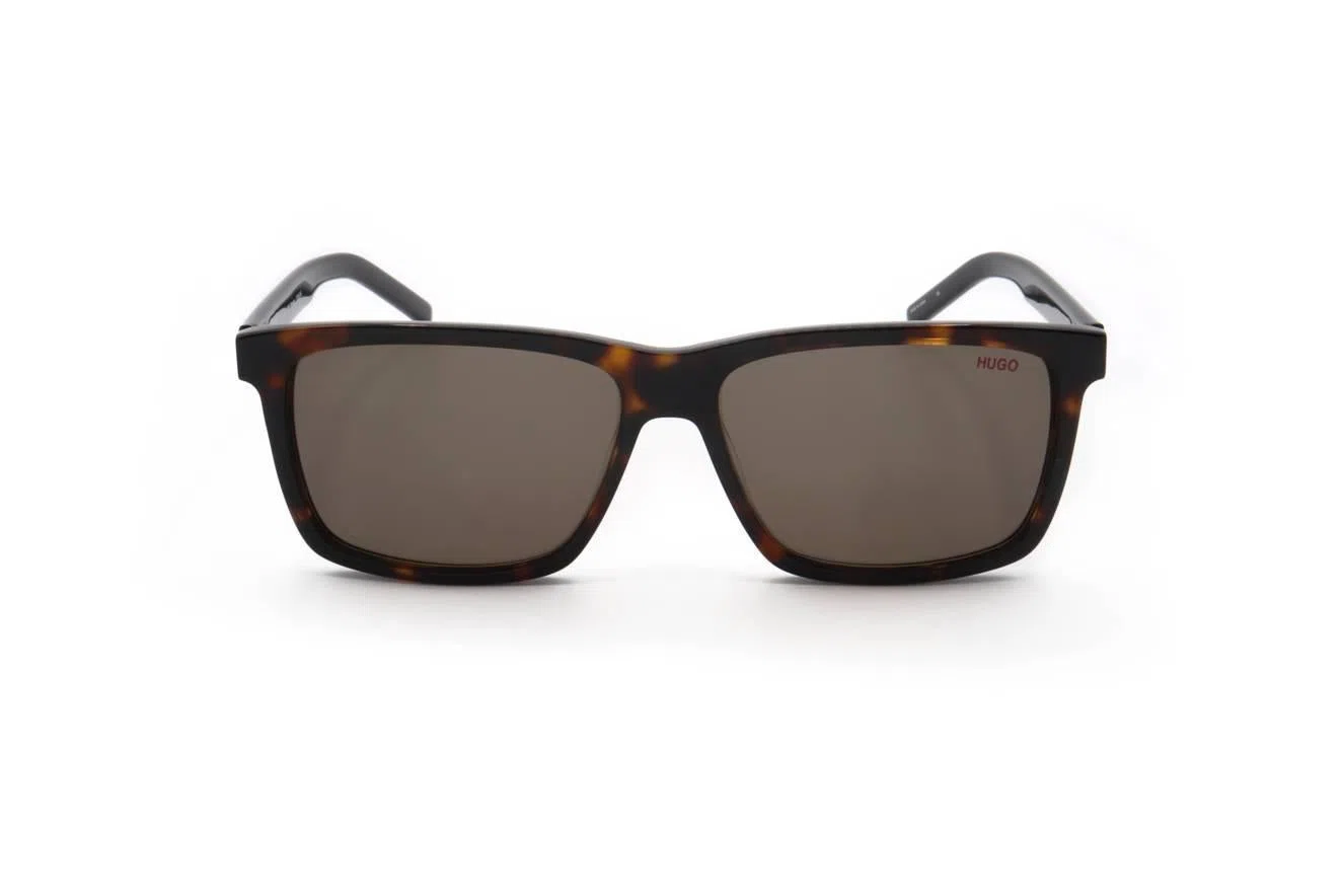 Hugo HG1013_SSAM Sunglasses