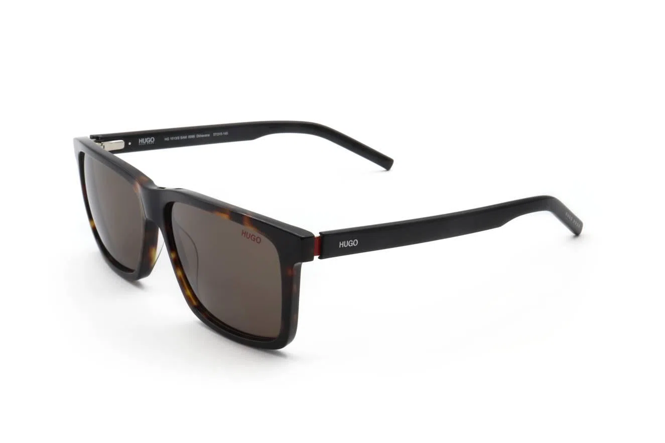 Hugo HG1013_SSAM Sunglasses - view 3
