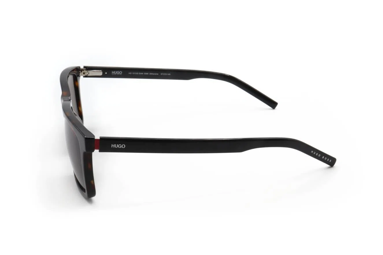Hugo HG1013_SSAM Sunglasses - view 4