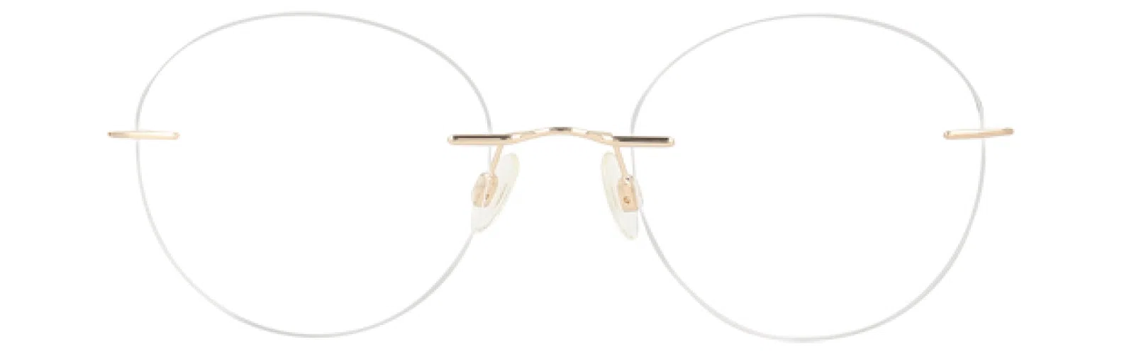 Invincilites IZ115 Eyeglasses - Gold - view 4