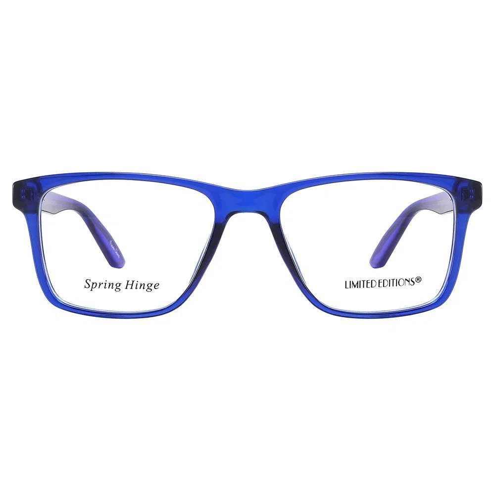 LIMITED EDITIONS 2254 Eyeglasses