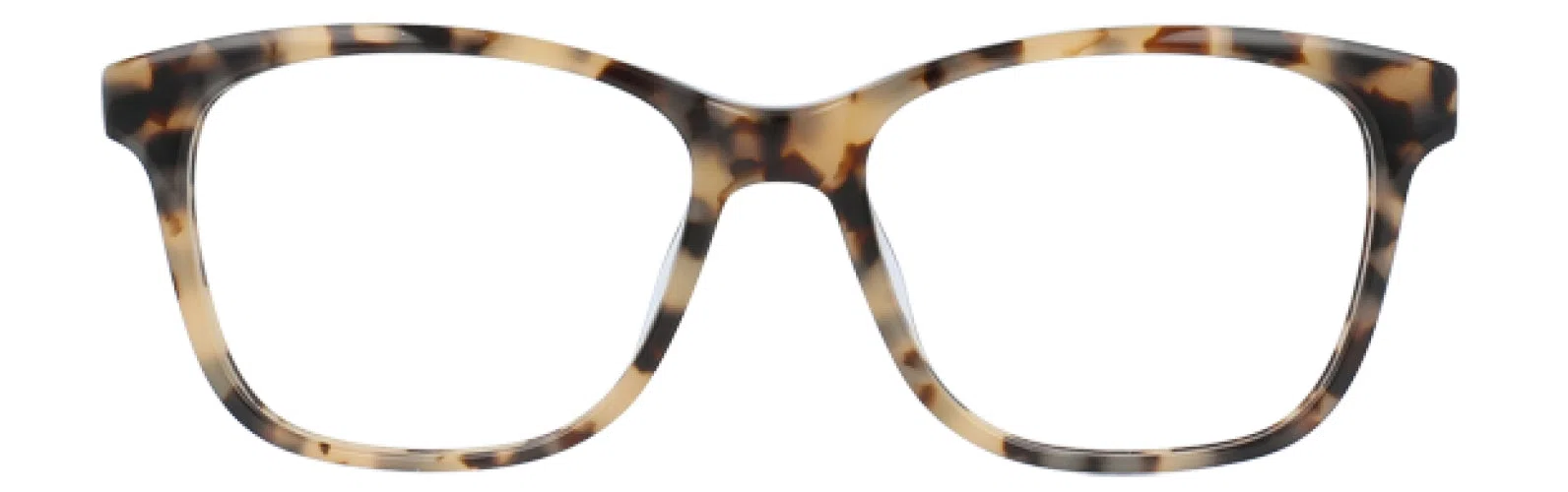 MaxStudio.com MS164Z Eyeglasses - view 4
